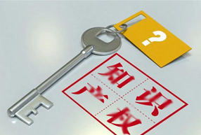 玉林知识产权保护/